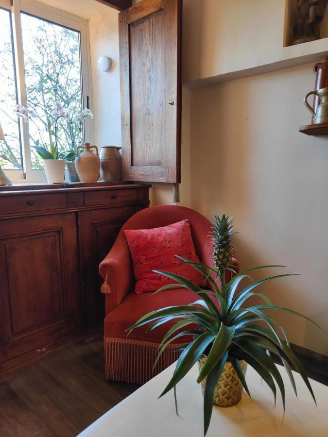 Maison Ancienne Romantique Avec Terrasse Panoramique Vaison-la-Romaine Buitenkant foto