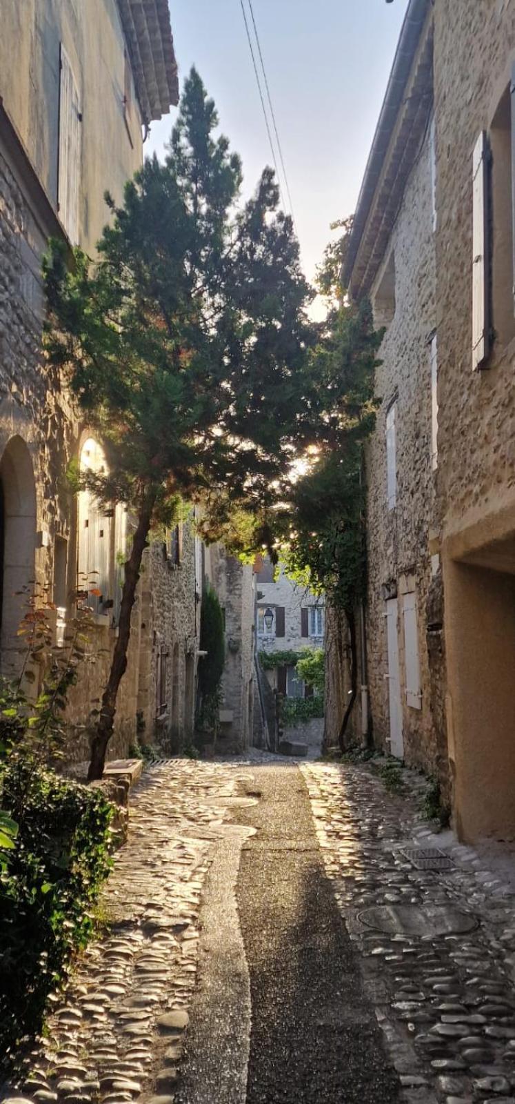 Maison Ancienne Romantique Avec Terrasse Panoramique Vaison-la-Romaine Buitenkant foto